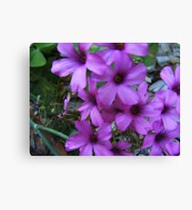 Tiny Flowers Canvas Print