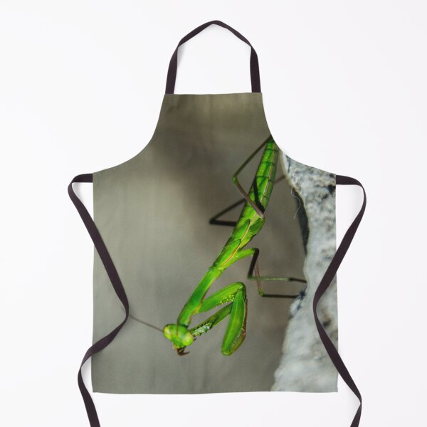 Item preview, Praying mantis washing up designed and sold by hugobraun.