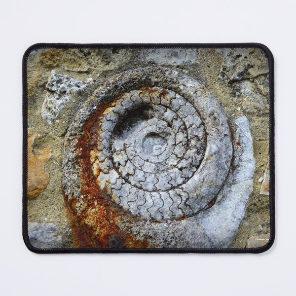 Item preview, Jurassic Fossil in Lyme Regis designed and sold by Vaengi.