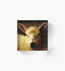 Margo Acrylic Block
