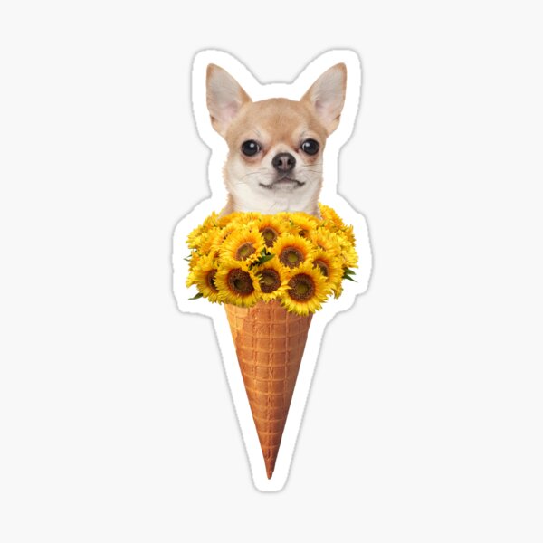 Chihuahua dog in a waffle cup with ice cream Vector Image