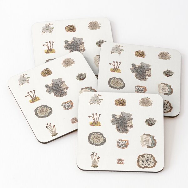 Item preview, Lichen designed and sold by anni103.