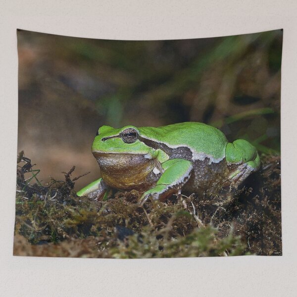 Item preview, r672/  A Kind Frog Palmé -Grenouille verte palmé  " simply life " to Okaio Créations - Olavia-Olao  designed and sold by o.okaïo.