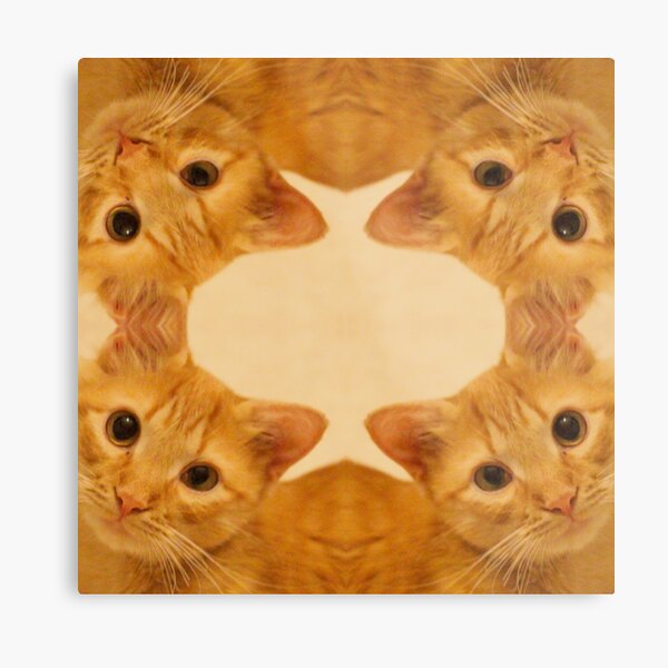 Jace Face Metal Print