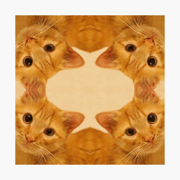 Jace Face Photographic Print
