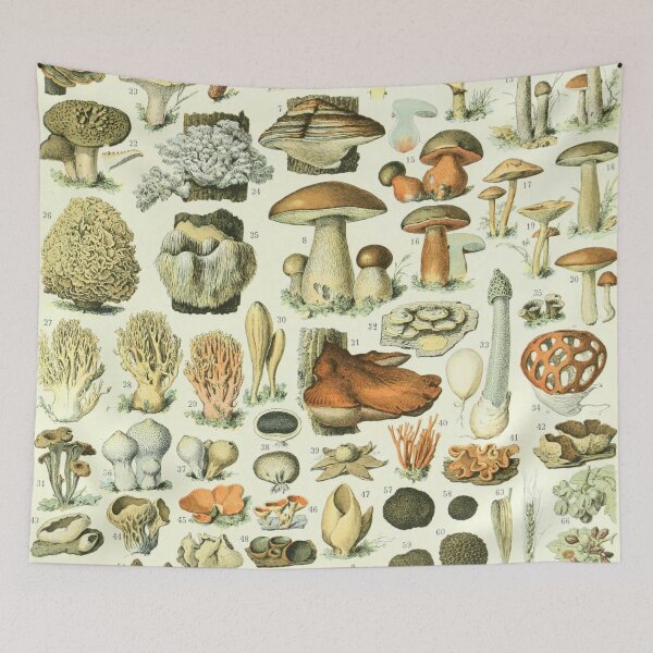 Item preview, Vintage botanical Print - Champignons - Adolphe Millot designed and sold by cutesy.