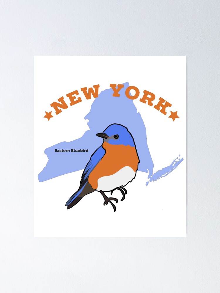 New York Eastern Bluebird - 50 State Birds | Poster