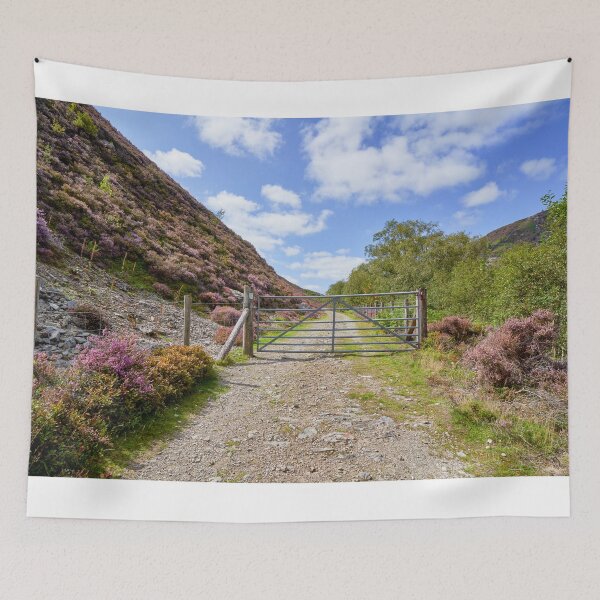 Item preview, Old road in the Elan Valley, Powys, Wales designed and sold by VnGphoto.