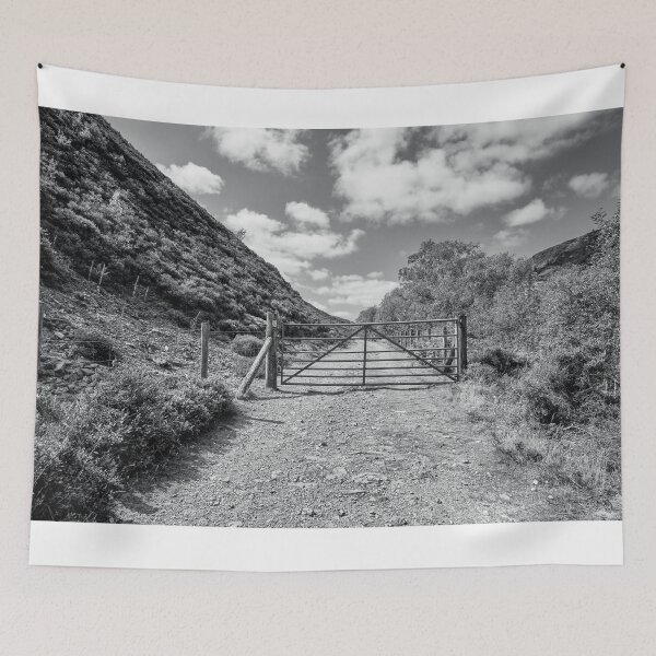Item preview, Old road in the Elan Valley, Powys, Wales designed and sold by MaclarenPhoto.