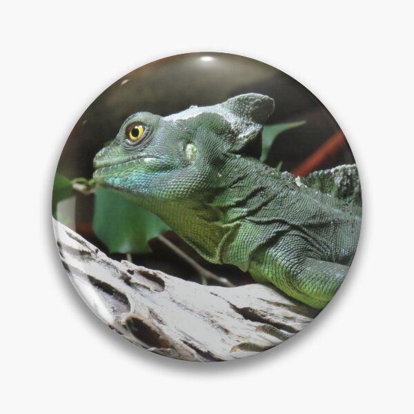 Item preview, Green basilisk designed and sold by greentiger1.