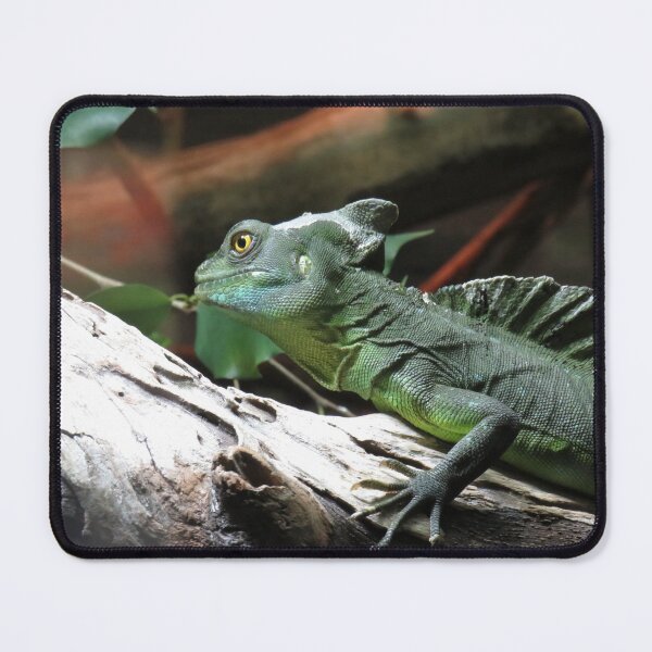 Item preview, Green basilisk designed and sold by greentiger1.