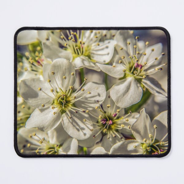 Item preview, Beauty In Bloom designed and sold by Susan Nixon.