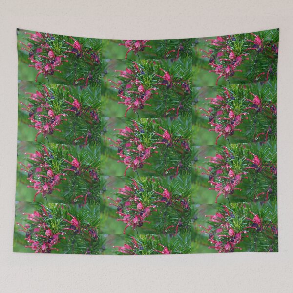 Item preview, Grevillea sparkle.......... Lyme Dorset UK designed and sold by lynn carter.
