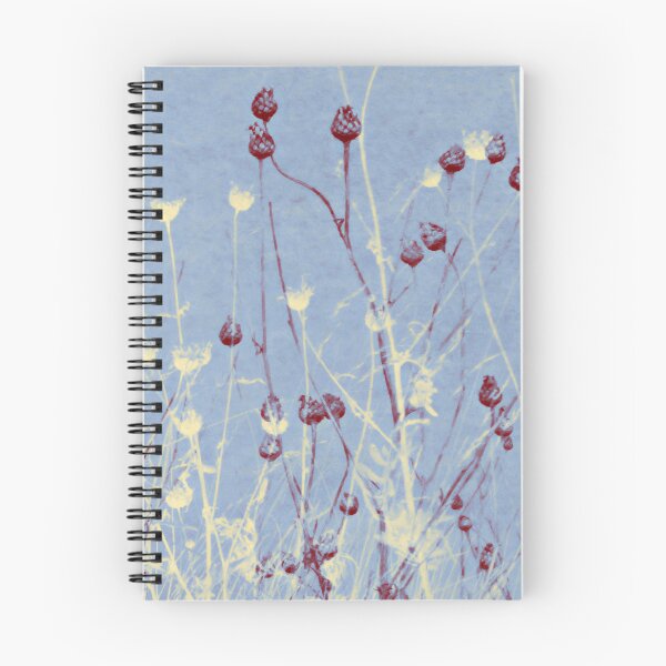 Item preview, Knapweed 5 designed and sold by Susan Woolley.