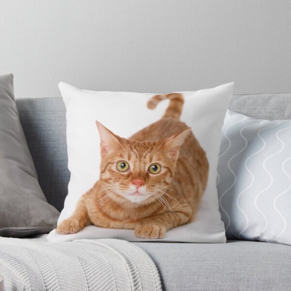 Vista previa del artículo con la obra «Gato jengibre de pelo corto gratis», diseñado y vendido por IconicMagicArts.