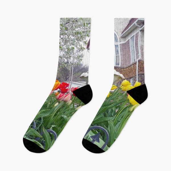 Item preview, Spring Tulips designed and sold by Frankie Cat Photography.