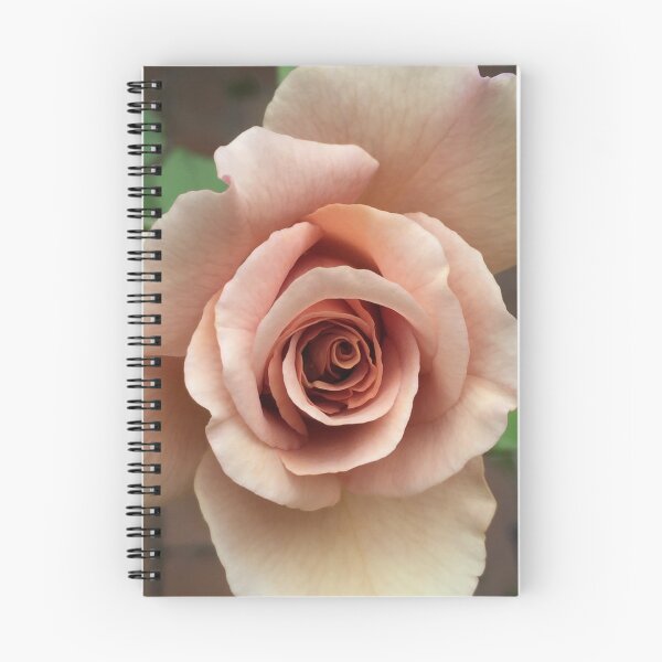 Item preview, Dusty Rose designed and sold by Narelle Richardson.