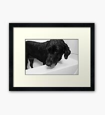 Bath Time Framed Print