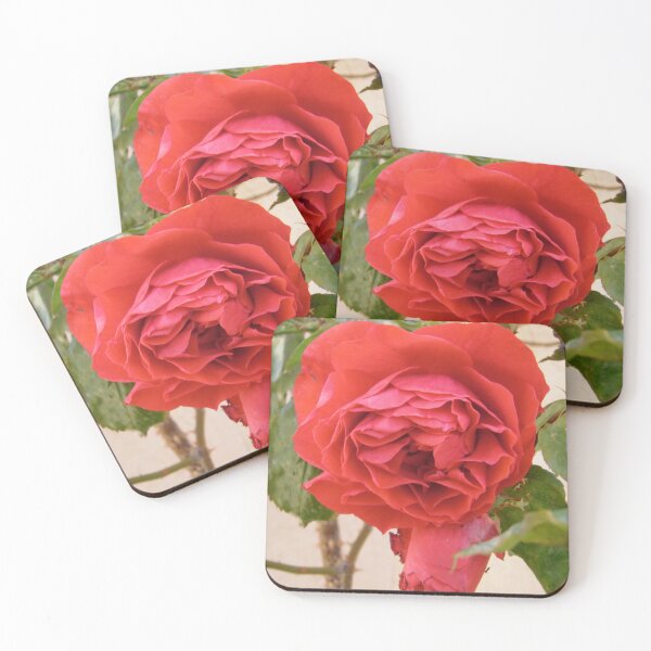 Item preview, Red Rose designed and sold by Shulie1.