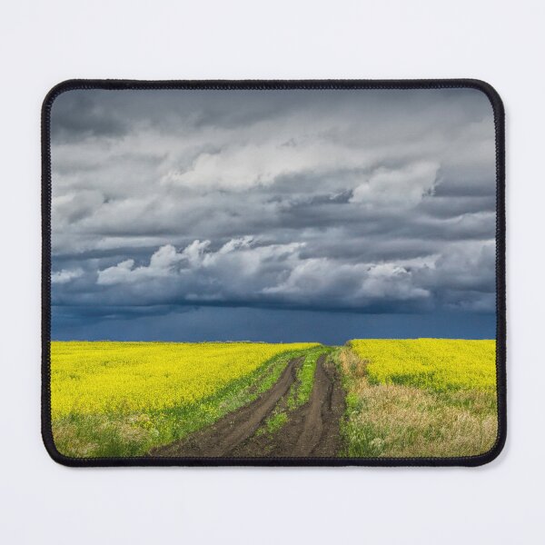 Item preview, Dirt Road in Canola Field in Southern Alberta designed and sold by Randall Nyhof.