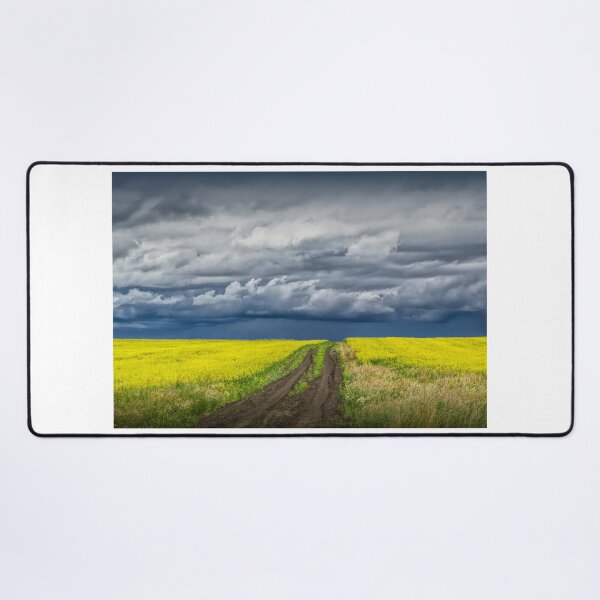 Item preview, Dirt Road in Canola Field in Southern Alberta designed and sold by Randall Nyhof.