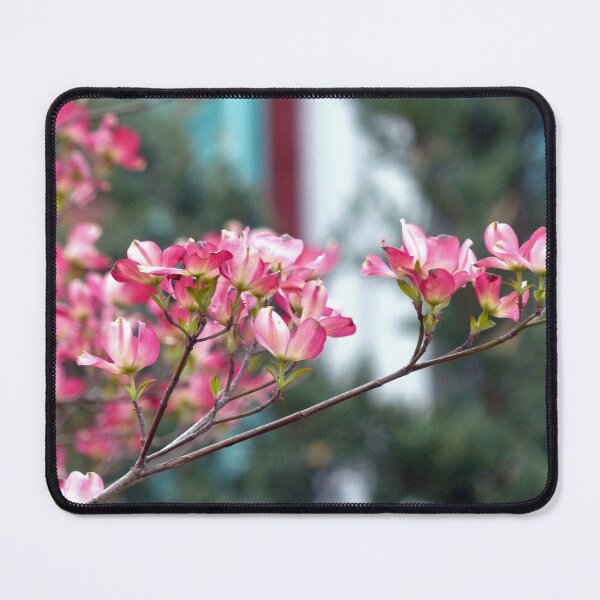 Item preview, Pink Dogwood designed and sold by Frankie Cat Photography.