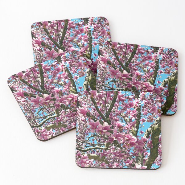 Item preview, Tulip Tree designed and sold by Frankie Cat Photography.