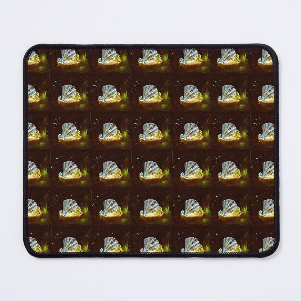 Item preview,  The great scallop pattern  - Pecten maximus designed and sold by Kissart.