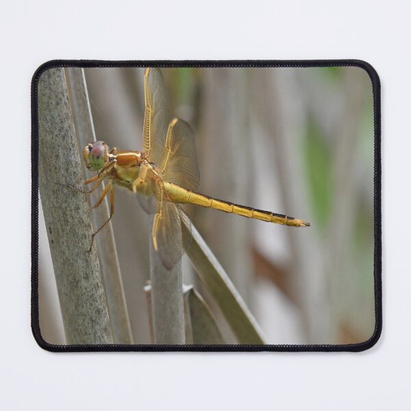 Item preview, Needham's Skimmer Dragonfly  designed and sold by LauraWolfArtist.