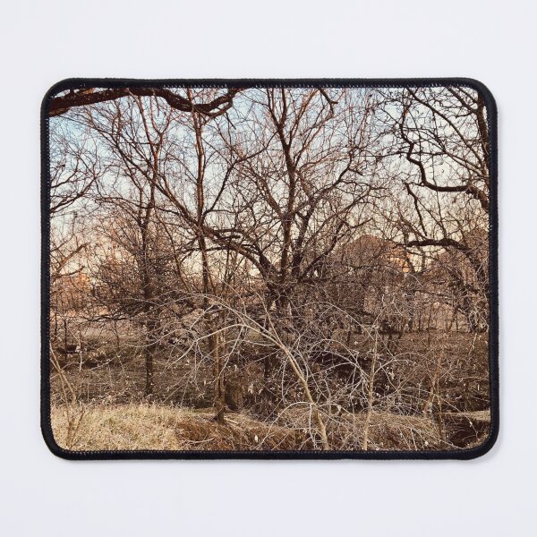 Item preview, Branches Without Leaves Photography  designed and sold by atroffire.