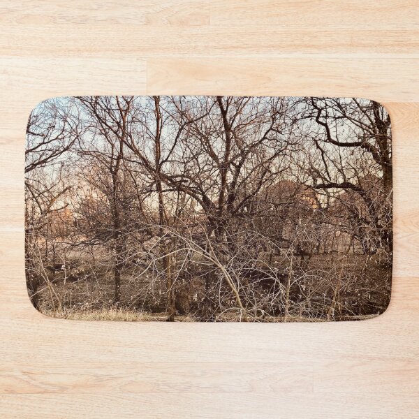 Item preview, Branches Without Leaves Photography  designed and sold by atroffire.