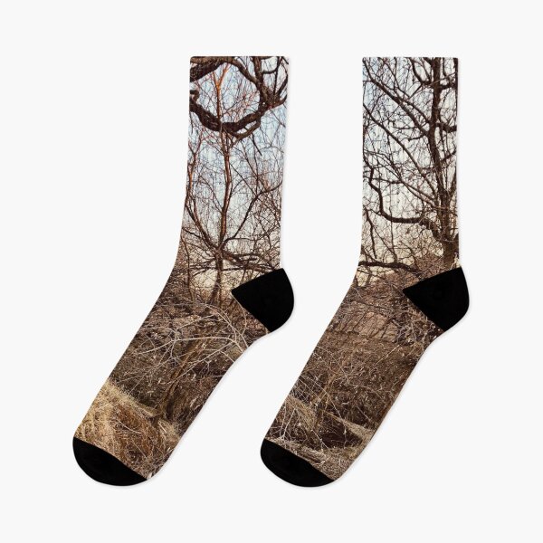 Item preview, Branches Without Leaves Photography  designed and sold by atroffire.