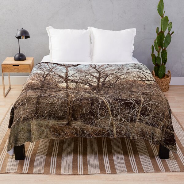 Item preview, Branches Without Leaves Photography  designed and sold by atroffire.