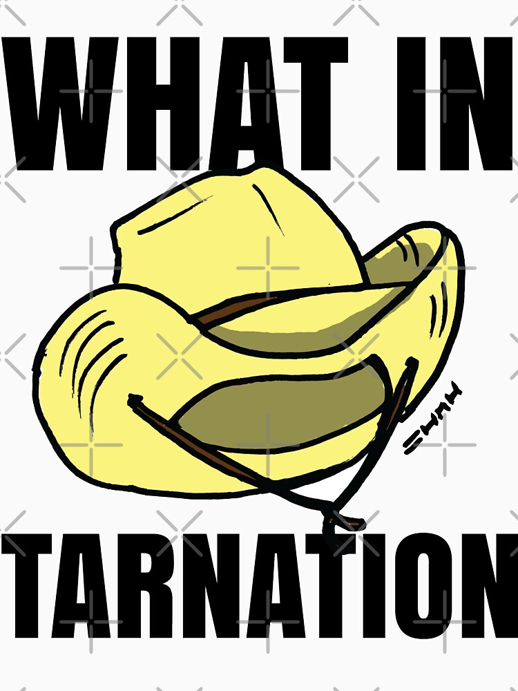 What in Tarnation Meme Cowboy Hat by sketchNkustom