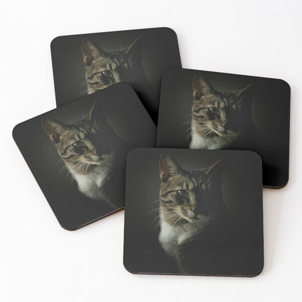 Item preview, Renaissance Cat  designed and sold by Shoelace98.