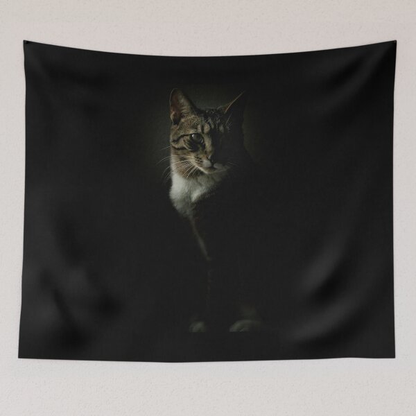 Item preview, Renaissance Cat  designed and sold by Shoelace98.