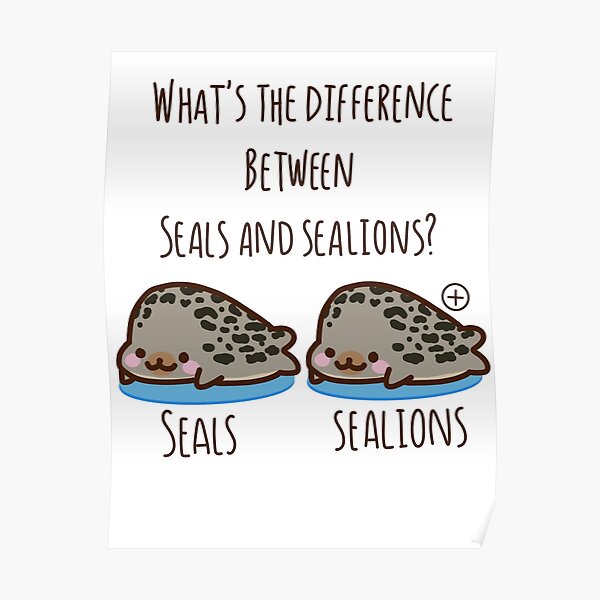 "What's the Difference Between Seals and Sealions?" Poster by creative