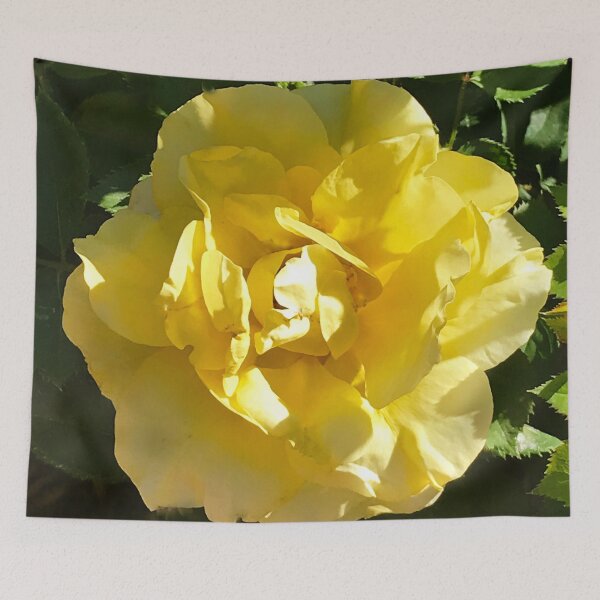 Item preview, Single Yellow Rose Art Photo In Dappled Light designed and sold by DEC02.