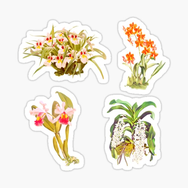 Item preview,  Orchid pack designed and sold by CatsPa.