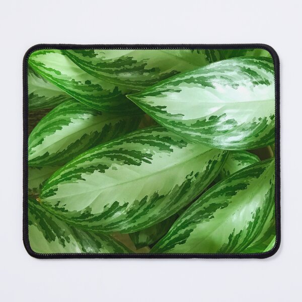 Item preview, Fantasy Fairy Tale Ethereal Leaves Art Photo designed and sold by DEC02.