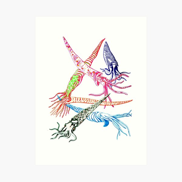 Baculites Art Print