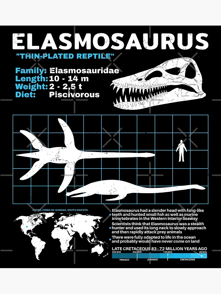 Elasmosaurus Data Sheet Poster For Sale By Nicgraygraphic Redbubble