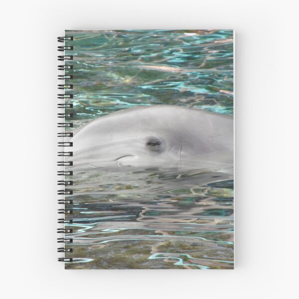 Item preview, Dolphin at SeaWorld designed and sold by Aranza  Fulford.