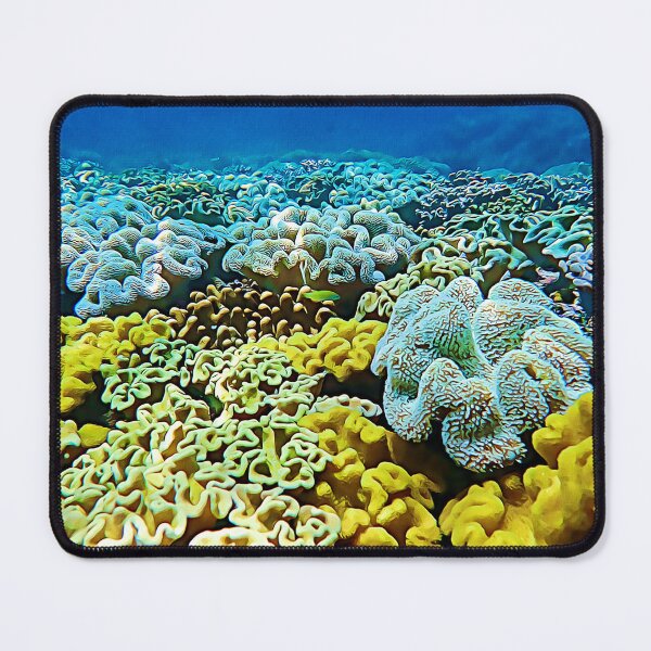 Item preview, Yellow Leather Corals on a Shallow Coral Reef in Fiji designed and sold by OceanVentures.