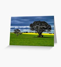 "Green & Gold" Greeting Card