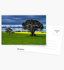 "Green & Gold" Postcards
