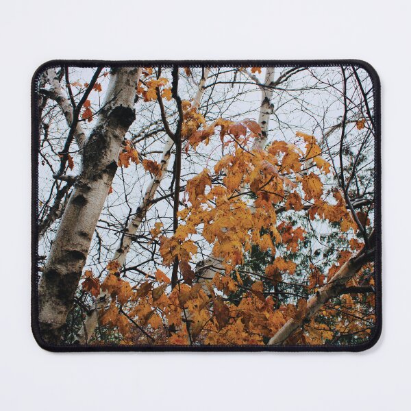 Item preview, Birch Trees and Orange Leaves designed and sold by RoseyElisabeth.