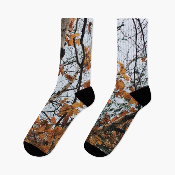 Item preview, Birch Trees and Orange Leaves designed and sold by RoseyElisabeth.