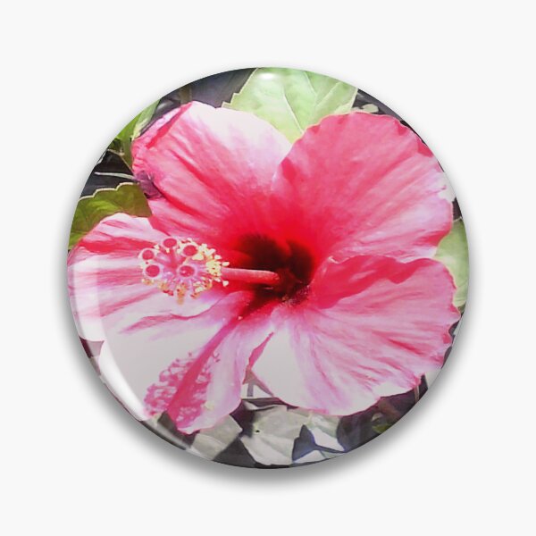 Aperçu de l'œuvre Hibiscus rouge créée et vendue par H.S Rtistar.