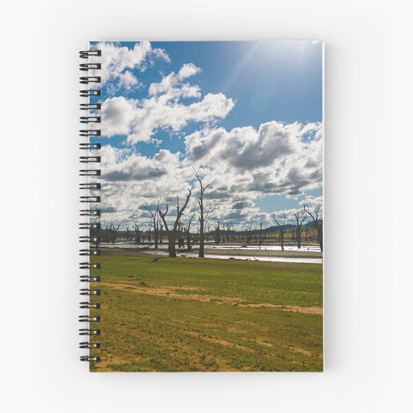 Item preview, Dead tree graveyard on the dried up bed of lake Hume with Sunbathing down designed and sold by James-Cole.